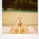Illustration for article titled Polaroid SX-70: The Joy of Instant Photography Before Digital